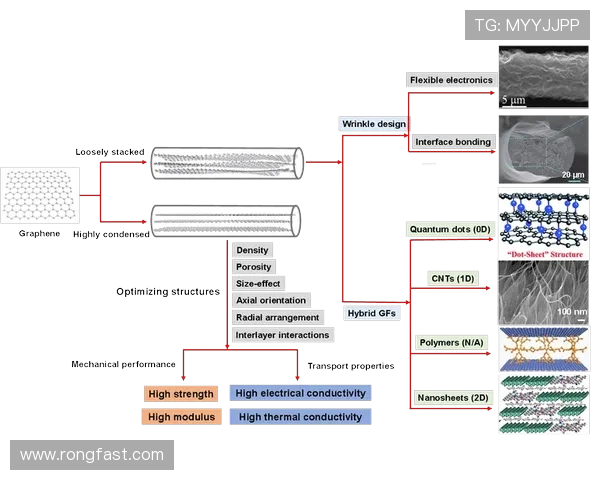 上海乒乓球队实力分析与发展潜力的深度探讨与展望 上海乒乓球队实力分析与发展潜力的深度探讨与展望