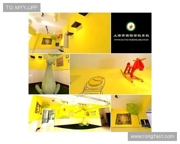 成都乒乓球队防守革新之路探索与实践的全景分析