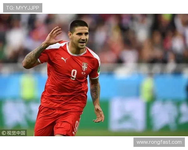 塞尔维亚对阵瑞士亚盘分析及投注建议解析